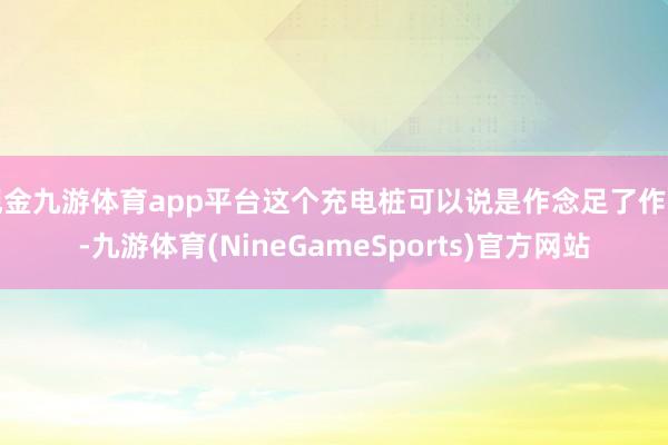 现金九游体育app平台这个充电桩可以说是作念足了作业-九游体育(NineGameSports)官方网站